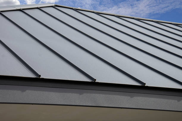 Best Metal Roofing Installation  in Century, FL